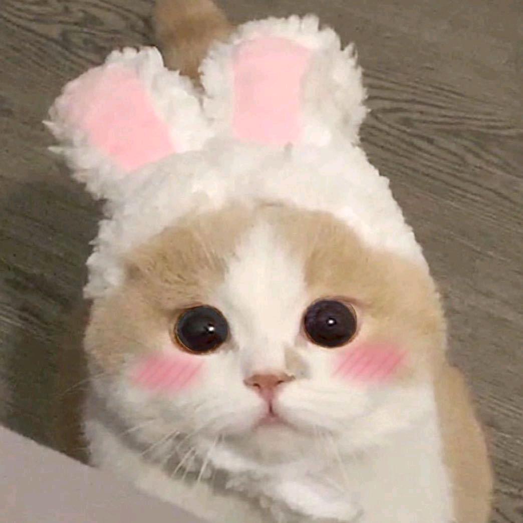 爱看短剧小阿姨