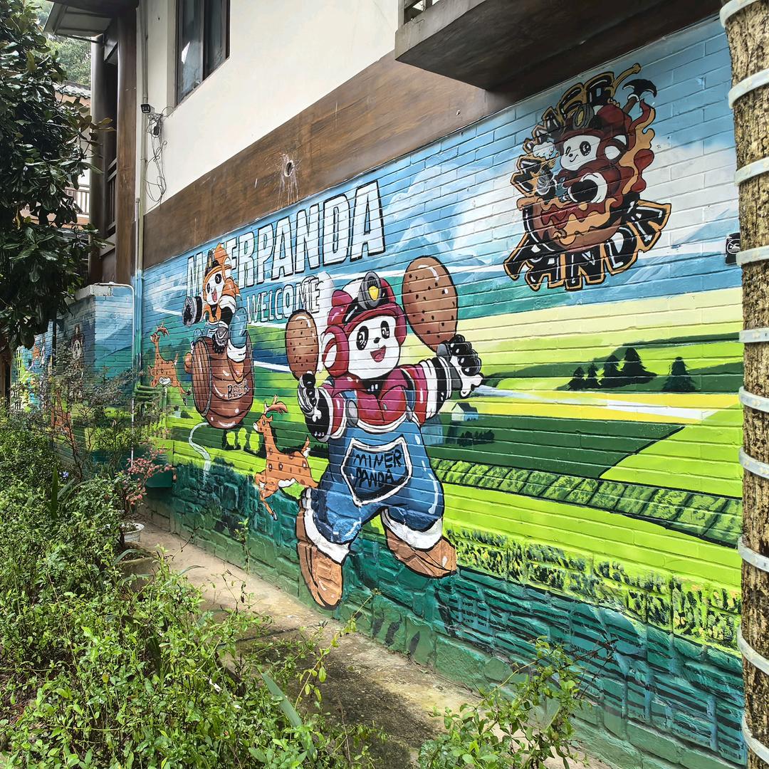 请大家教我拍照😂