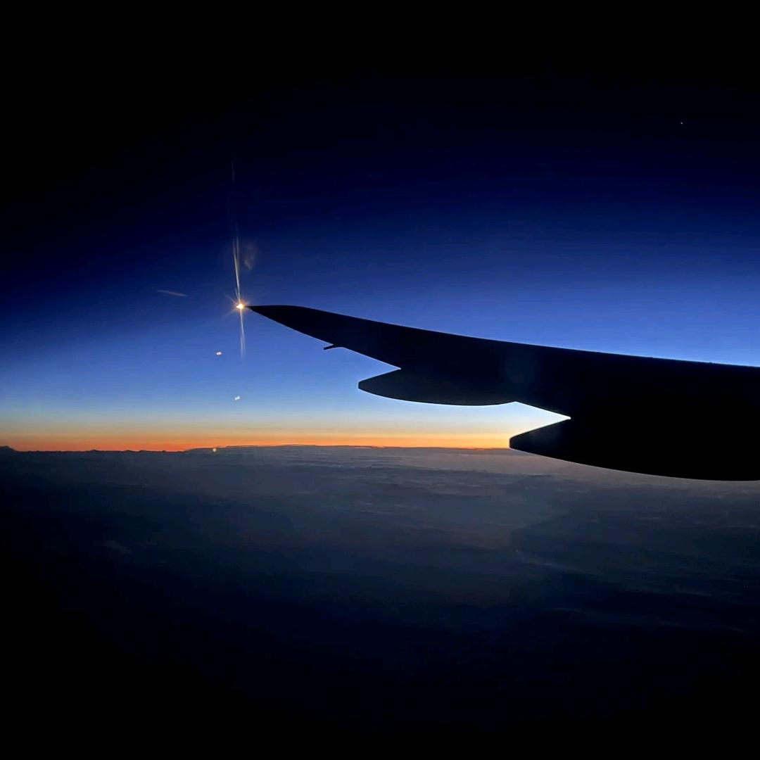 一只平凡的小猪