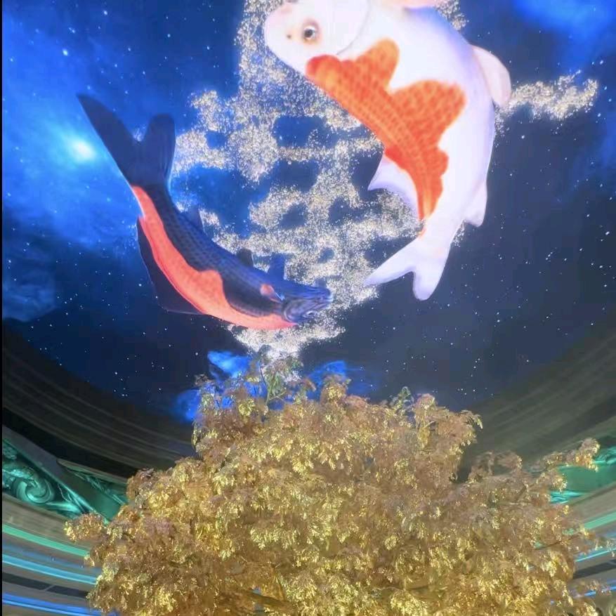 晓晓。