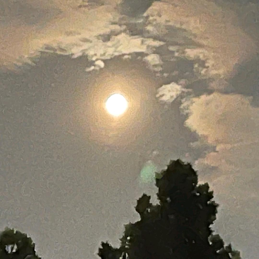 宇宙无敌超级霸王龙战士