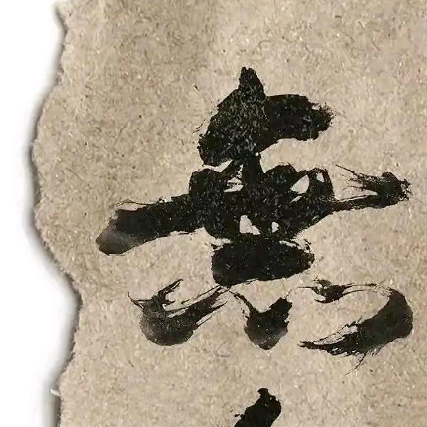 岸上阳光