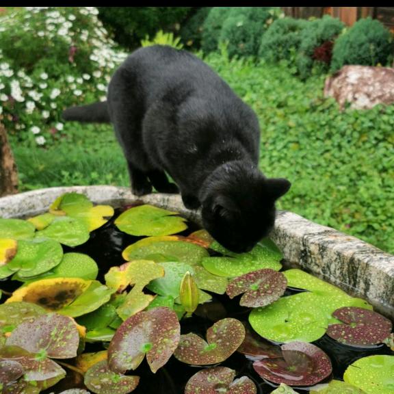🐠飞飞鱼🌤️