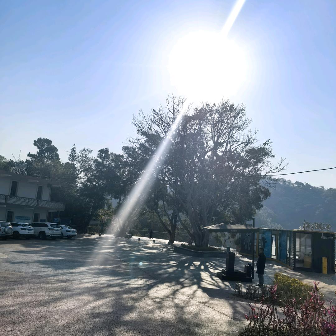 普洱(梅子湖壹号)