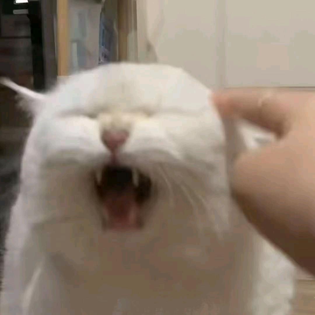 ymk