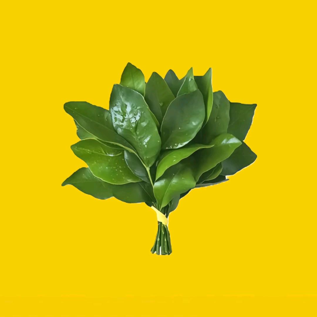 小哲