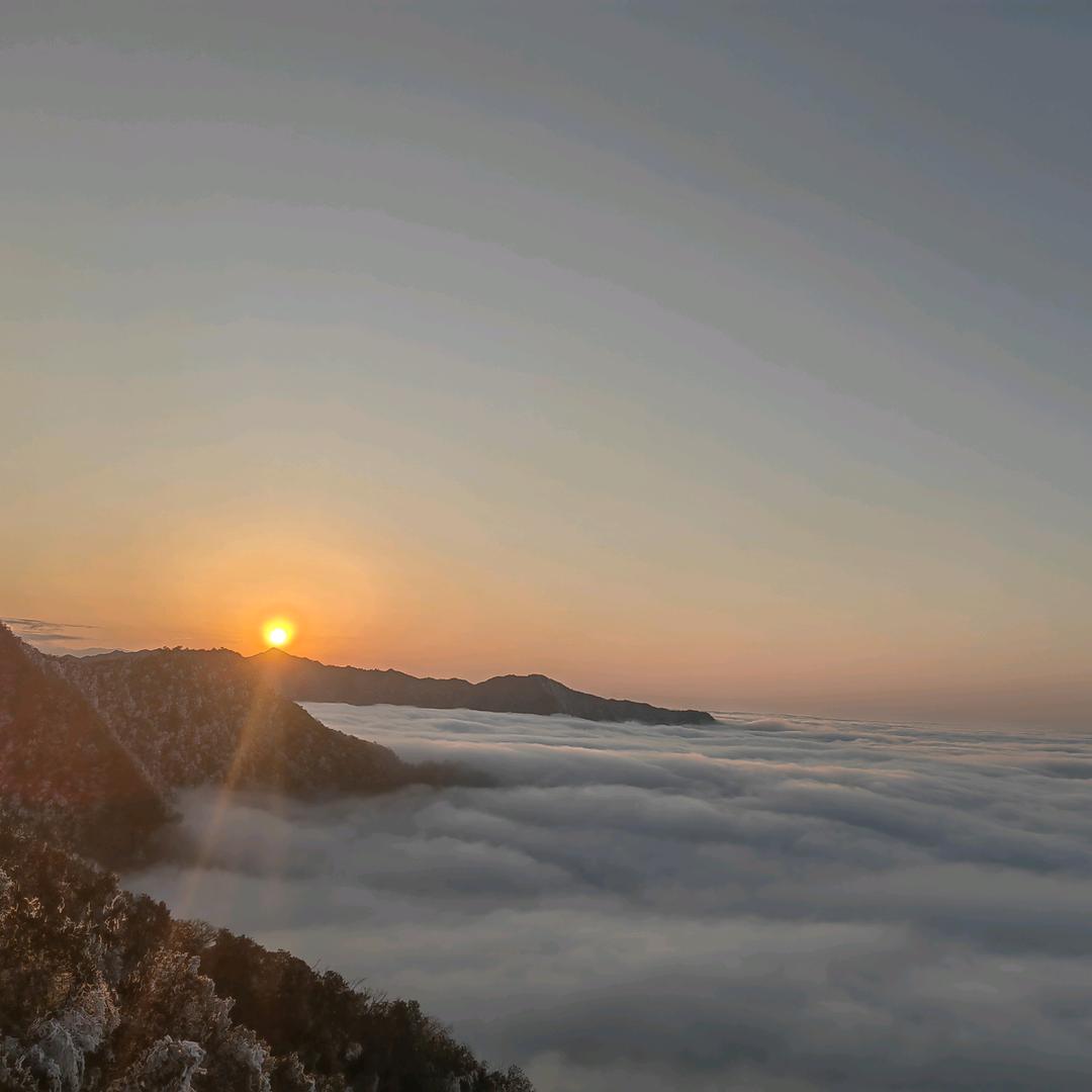 飞飞机不会拍的搬砖工