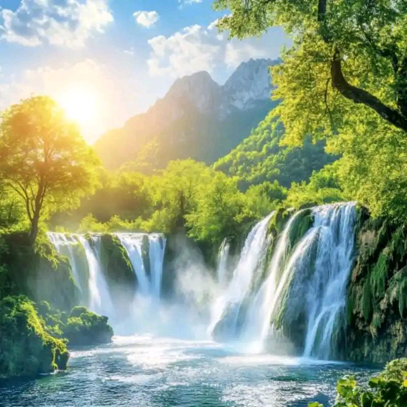 贾庄镇诚春农资