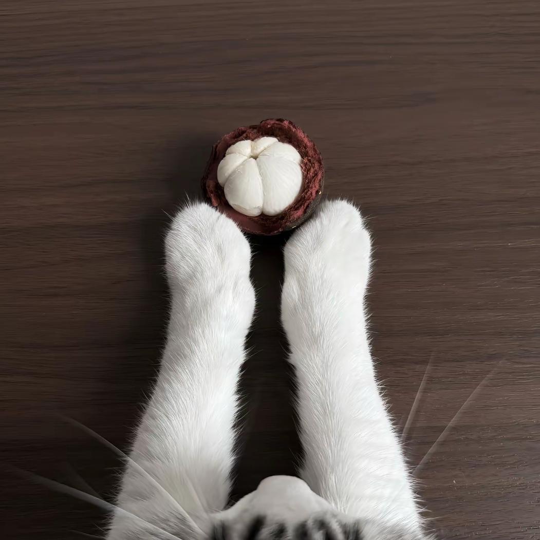 小悠头像