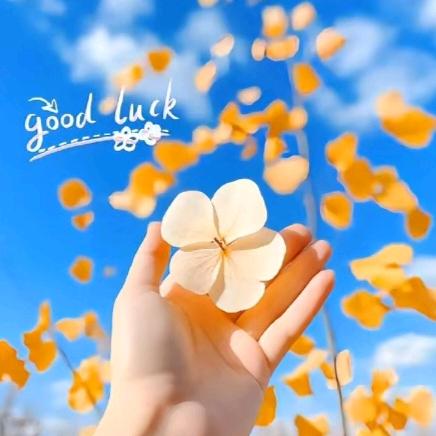 ꦿ໌ᮨ💕：淡然一笑💞࿐