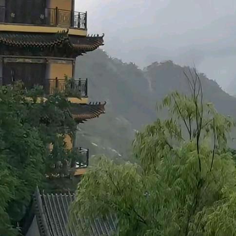 辉哥（互）
