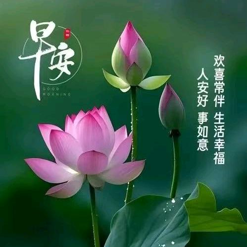 爱莲说