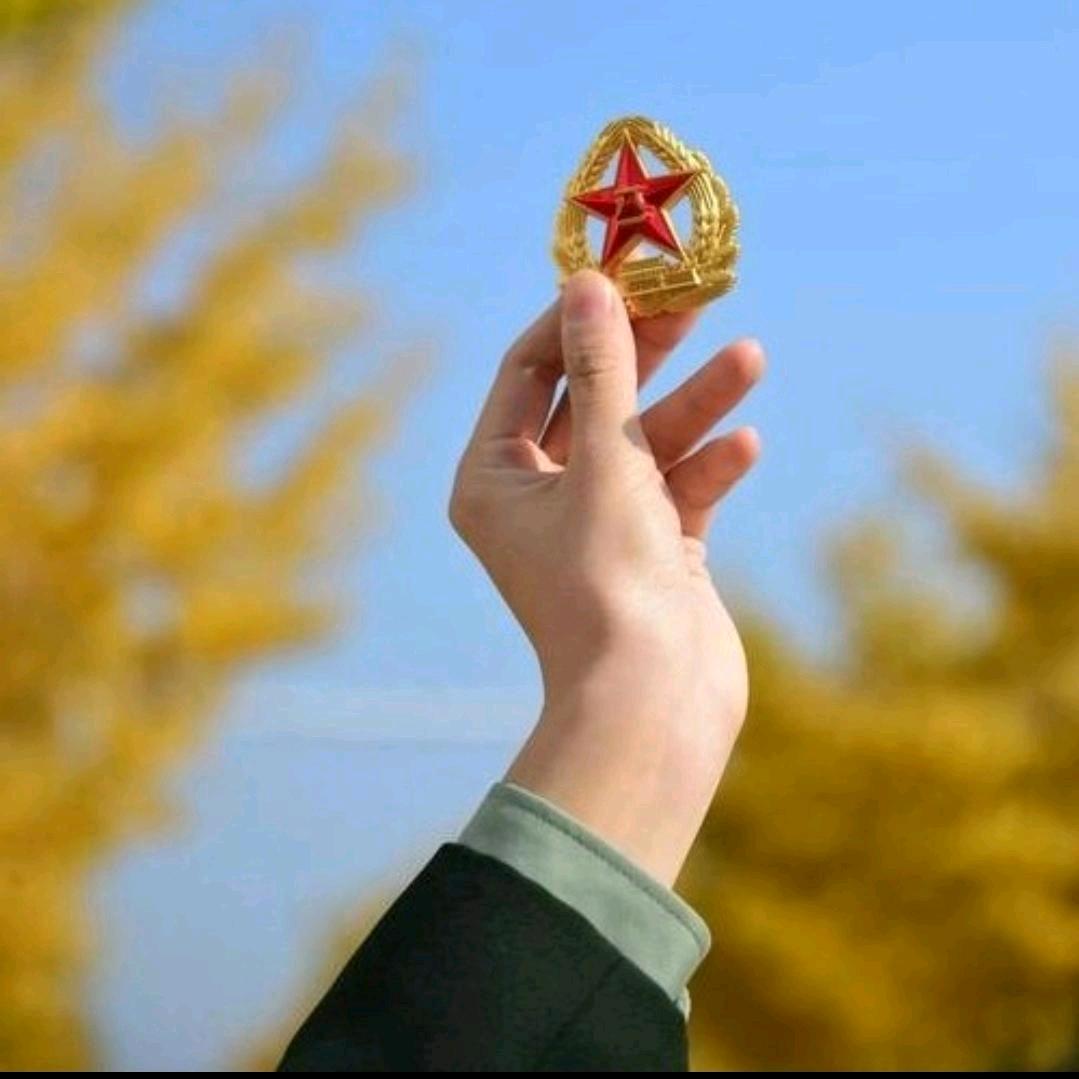 🇨🇳月光之羽🇨🇳