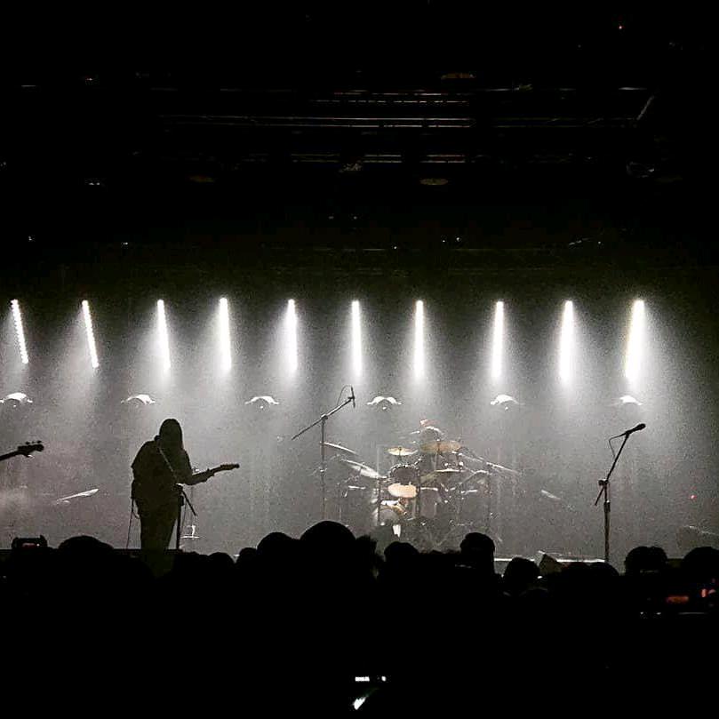 去码头整点薯条