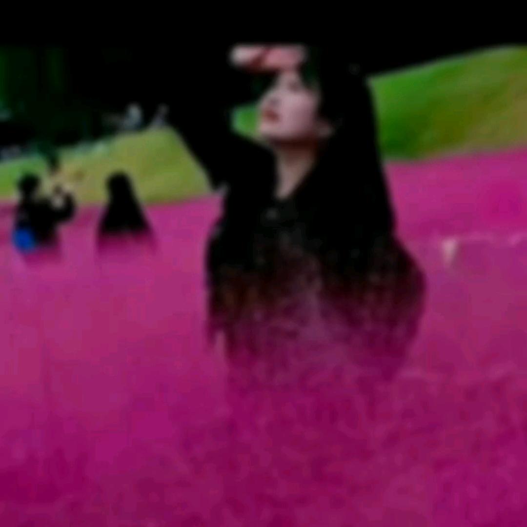 淡雅茶诗