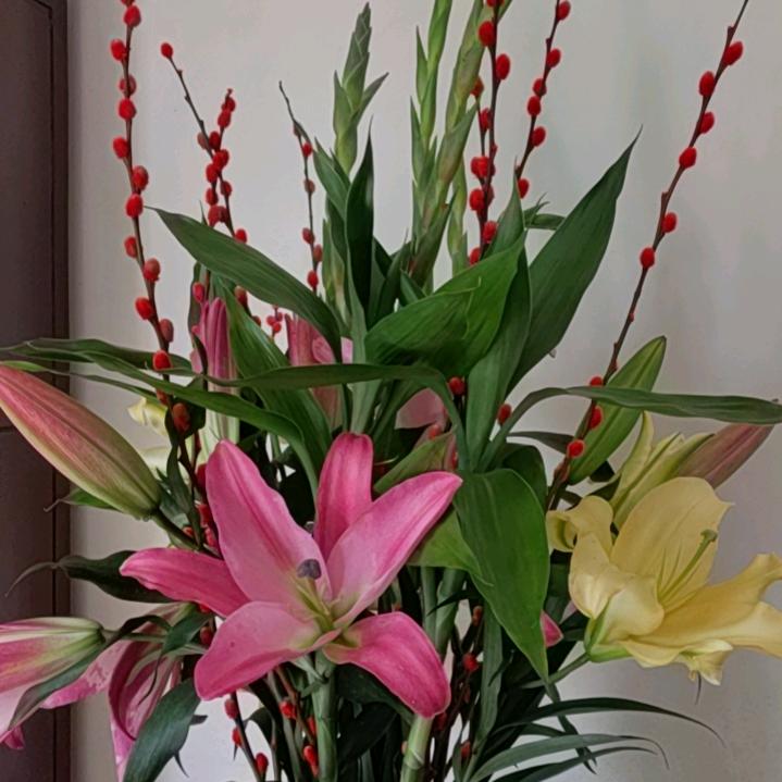 Les 荣