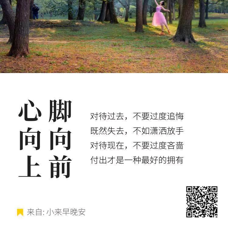 清晨的一缕阳光