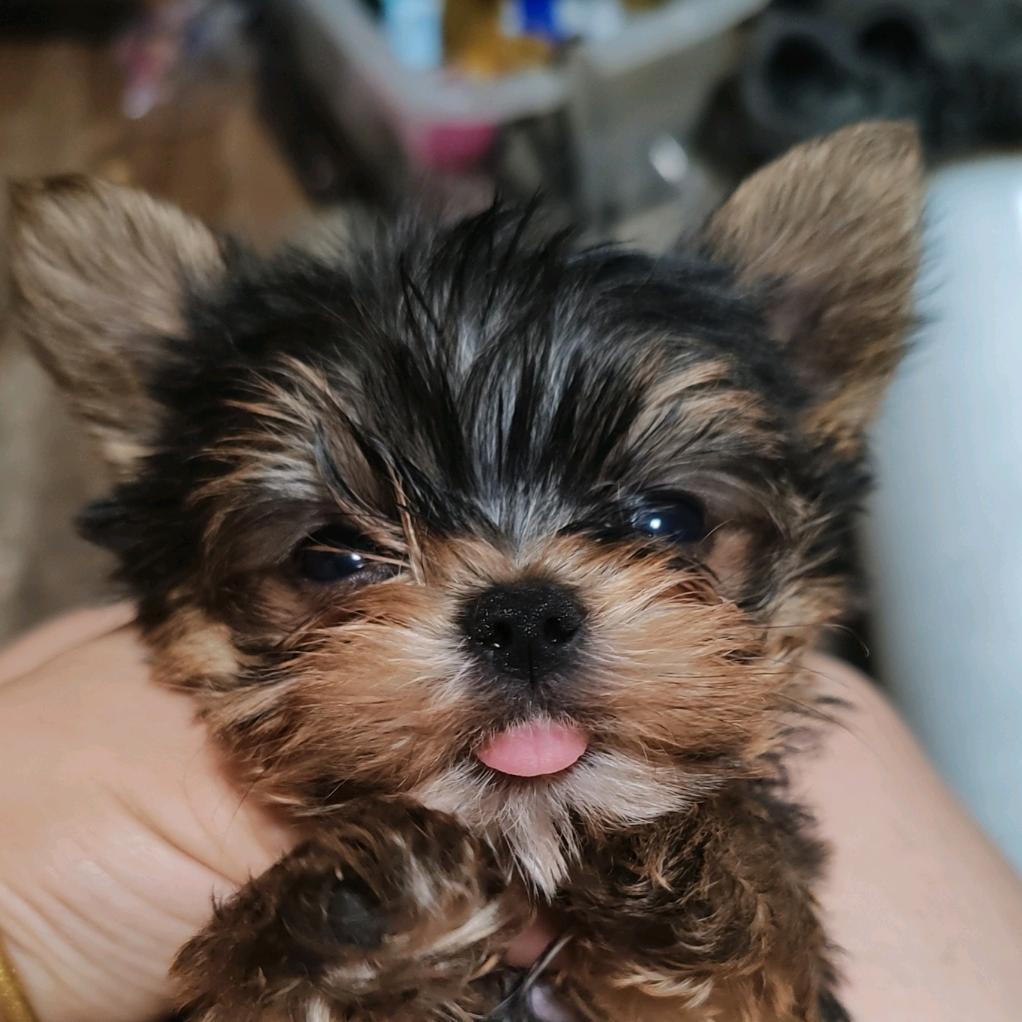 小约百财