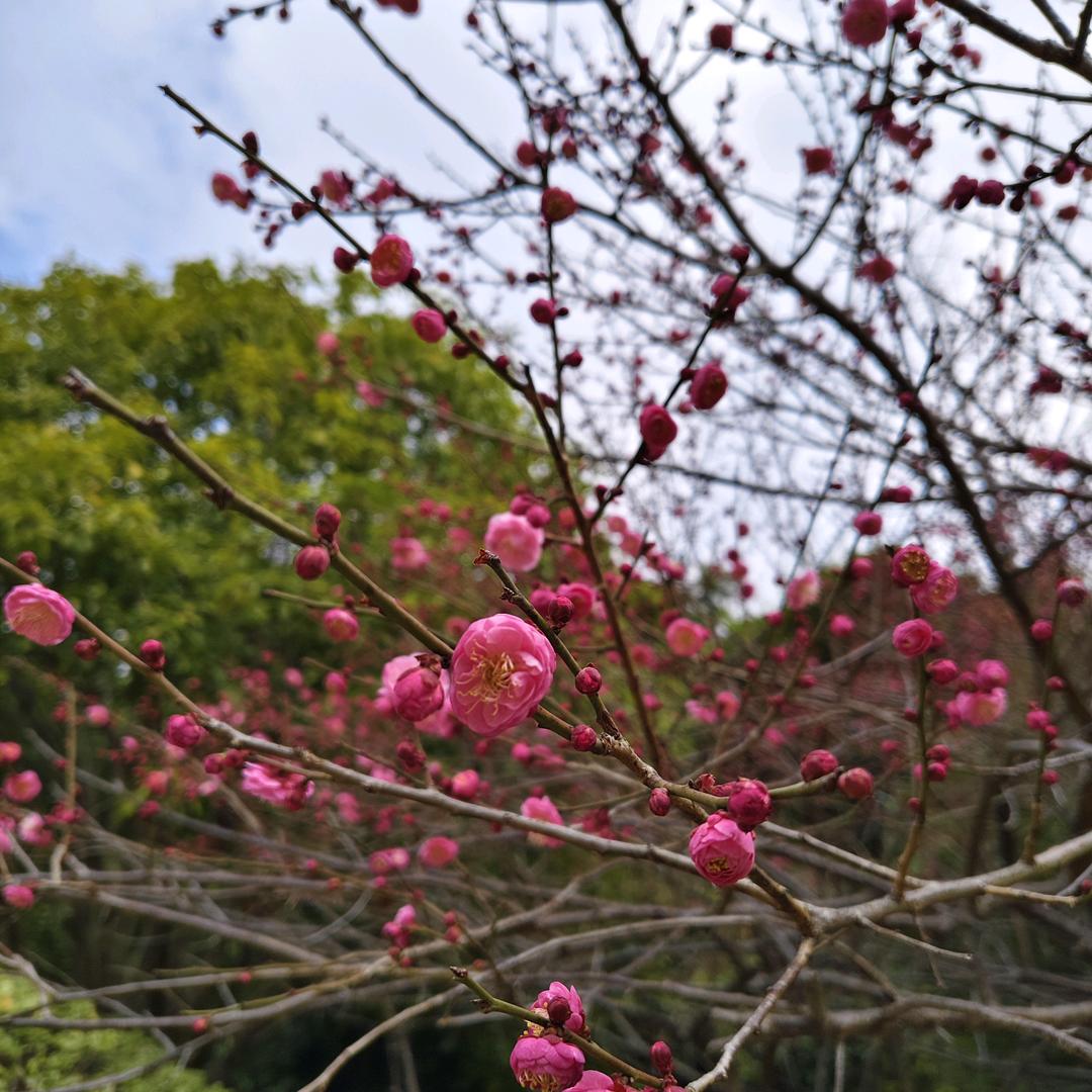 喜悦