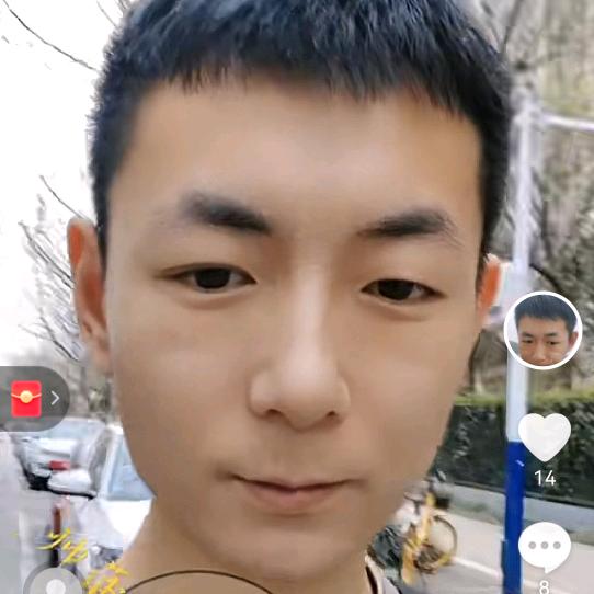 复星战略