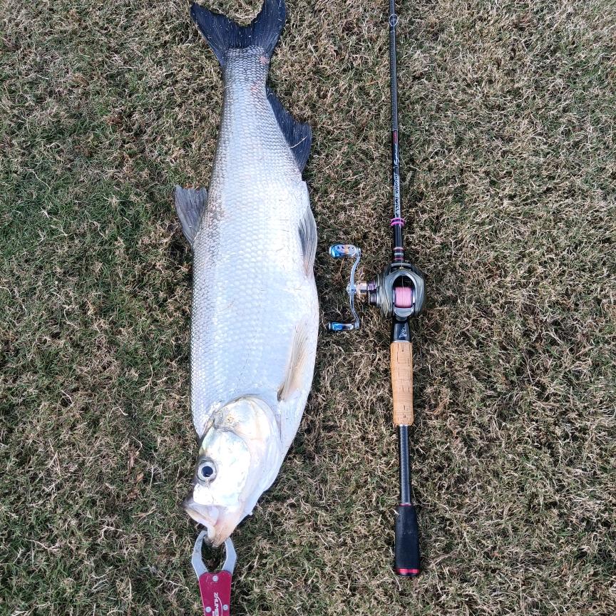 香里乡亲烧烤—小李