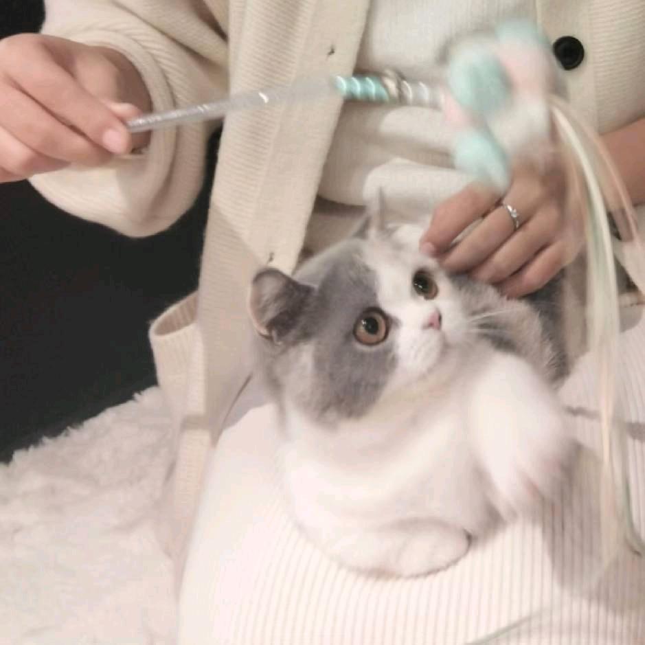 情艺