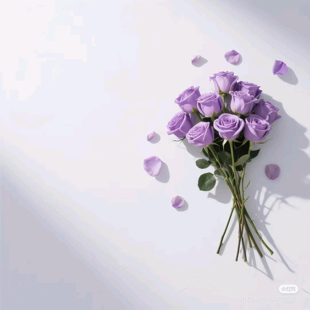 一朵花🌺