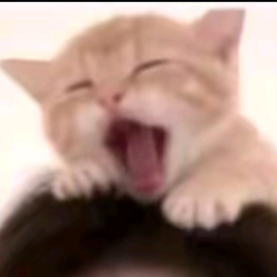 小高.