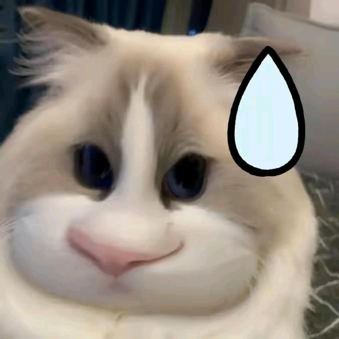 聪明小猪（鼠鼠版）