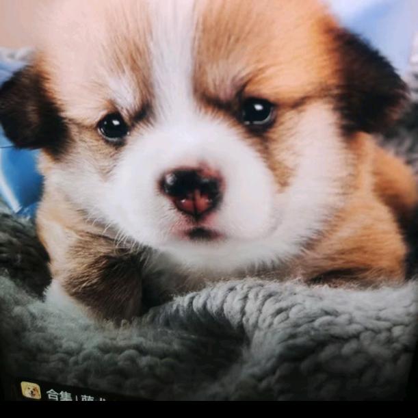 唯壹只有你@@@……