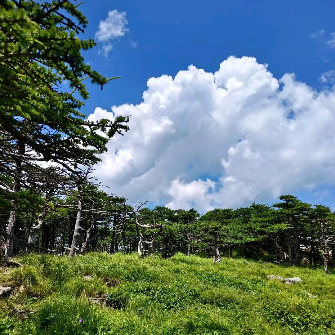 户县庞大砖厂(张晓)