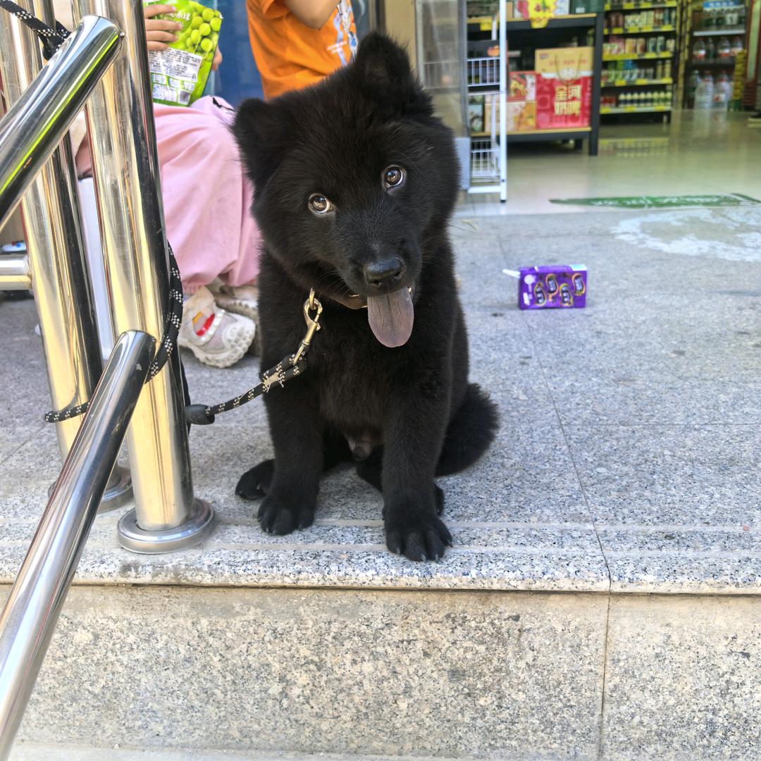 小刚灬
