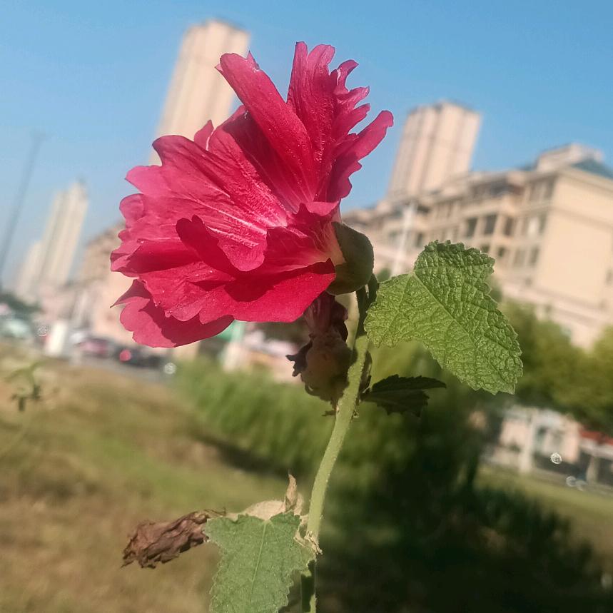 樊樊樊