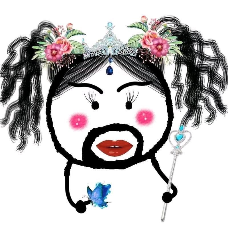 一个崭新的小马甲