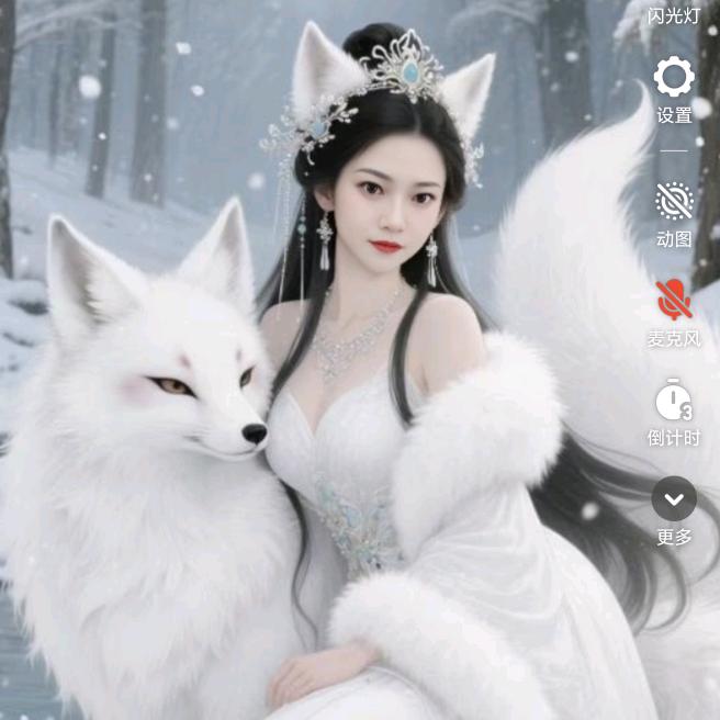 聪明的小懒猫😺