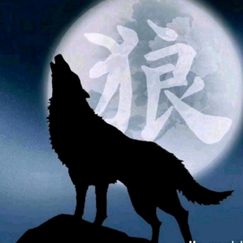 岁     月