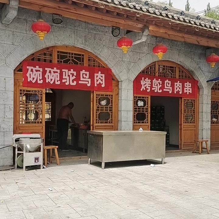 1神木旭阳恒业鸵鸟专业合作社