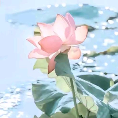 随心如意