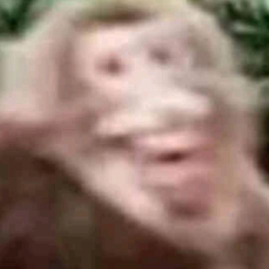 plmm不会生气