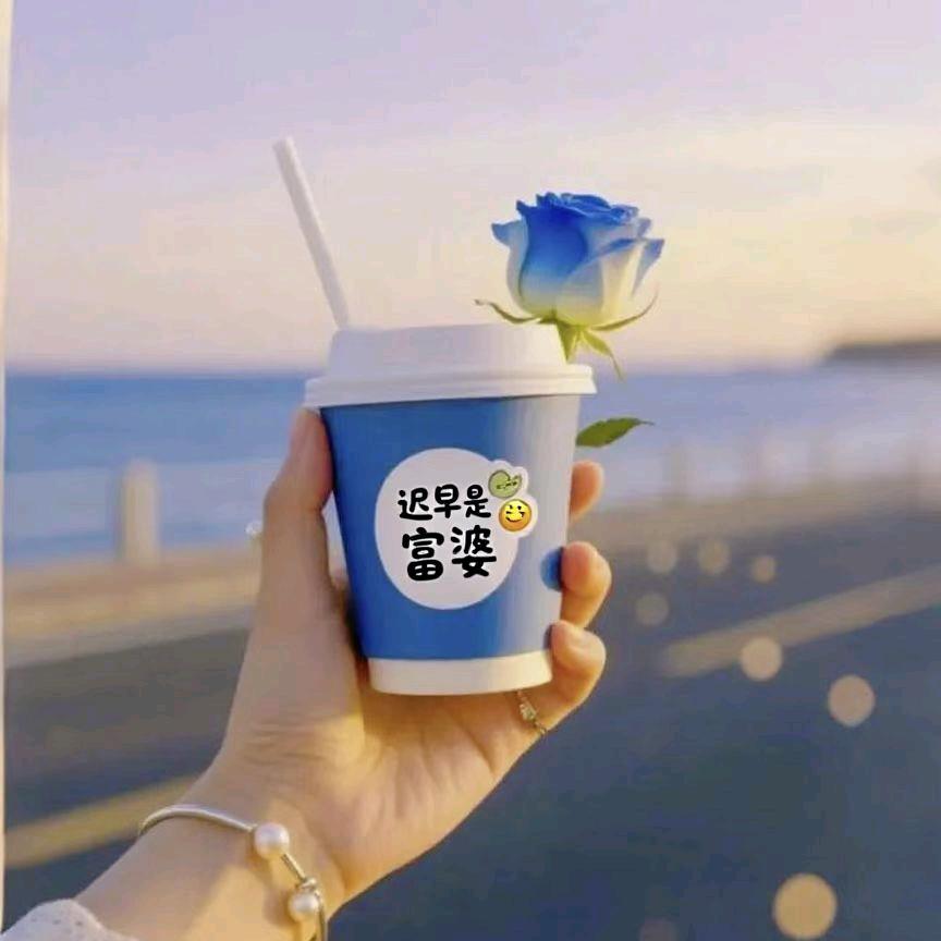 小黄鱼🌸