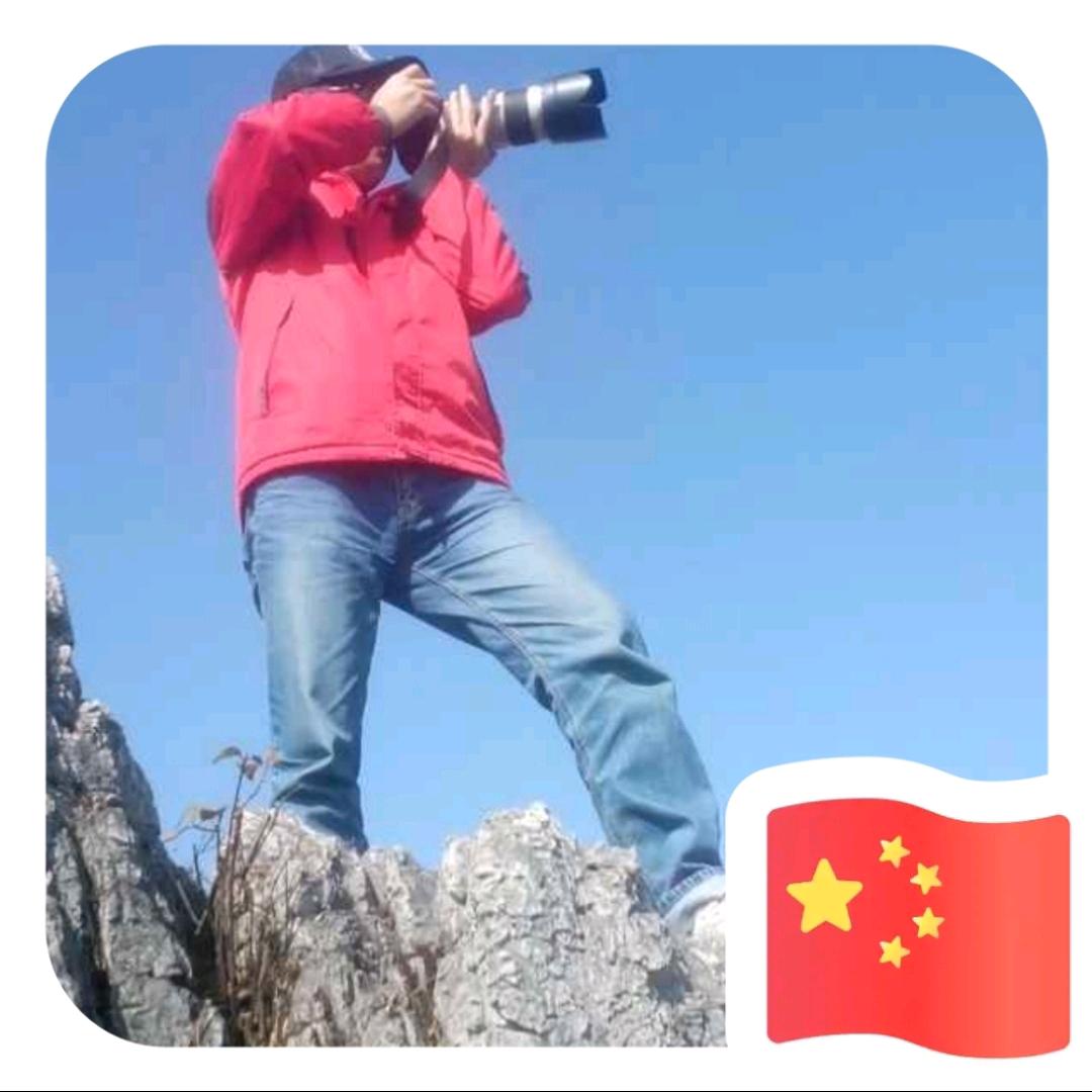古  茶