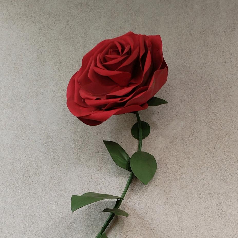 萱萱~阿Q团队③