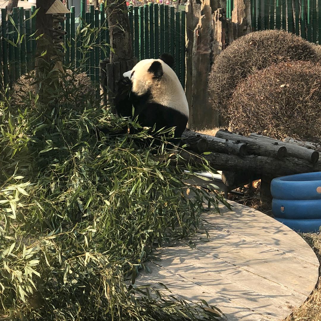肥而不腻头像