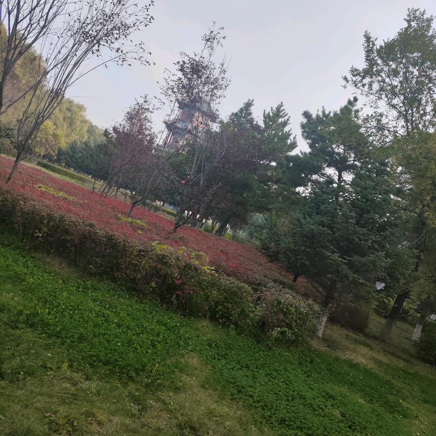 ₍๑•⌔•๑₎⸝