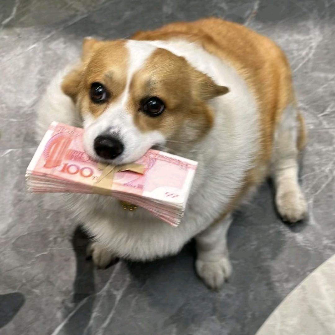 3254