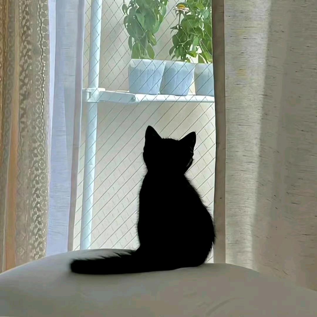 今天星期八