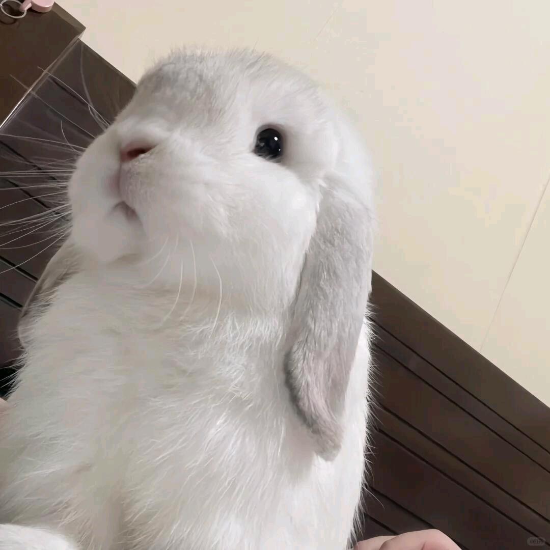 我珍惜你的方式错了吗