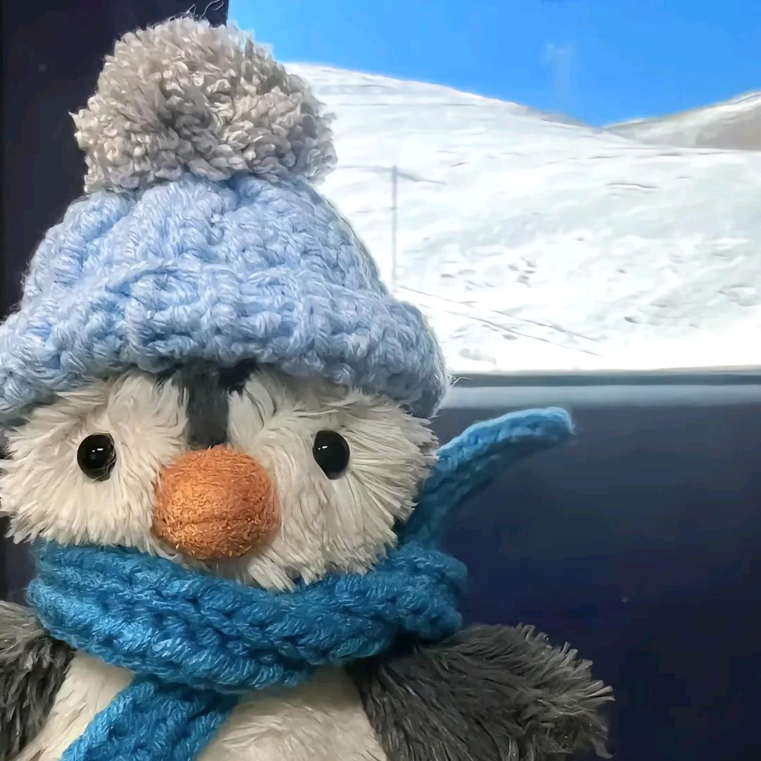 小豆  香葱大饼