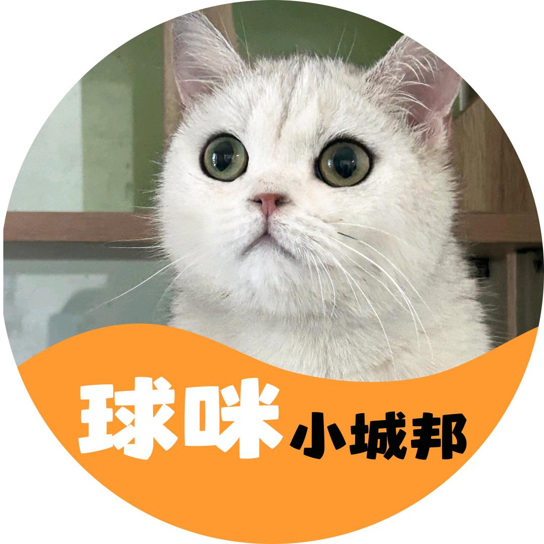 球咪的小城邦