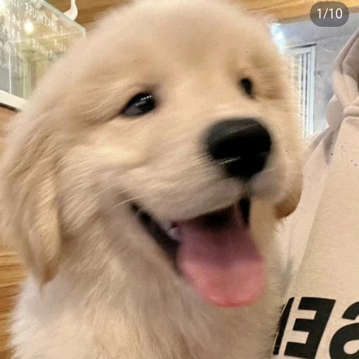 琉璃